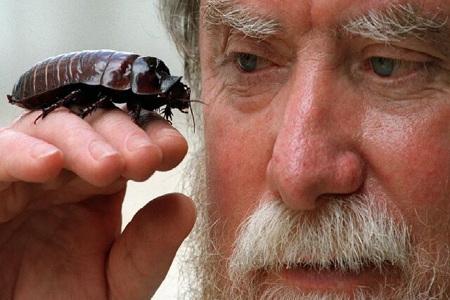 سوسک چطور بدون سر زنده میماند؟