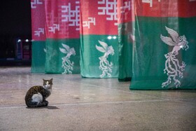 حاشیه روز هشتم چهل‌وچهارمین جشنواره فیلم فجر