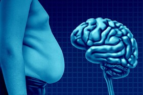 چربی می‌تواند مغز را کوچک کند