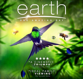 مستند حیات‌وحش «زمین؛ یک روز شگفت‌انگیز» با کیفیت 4K-HDR