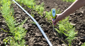 امکان کشاورزی با آب‌های شور به جای شیرین‌سازی پرهزینه آب