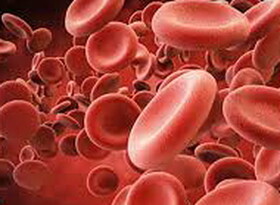 «پلاکت»؛ فرآورده‌ای با عمر کم و فواید زیاد