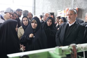 تسهیلاتی ۶۰ همتی برای تقویت اشتغال زنان سرپرست خانوار اختصاص یافت