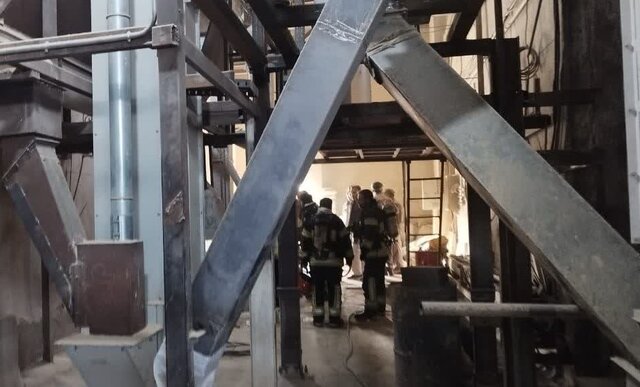 آتش‌سوزی در یک کارخانه تولید آرد در شیراز مهار شد