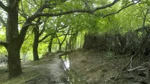 آثار تاریخی&laquo;زردآلو آباد&raquo; ایلام؛ پیش از تاریخ تا قرون اولیه اسلامی