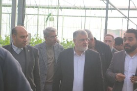 توسعه گلخانه‌ها یکی از محورهای اصلی امنیت غذایی استان تهران است