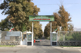 تمرکز مؤسسه تحقیقات علوم دامی بر حل مسائل واقعی دامداران