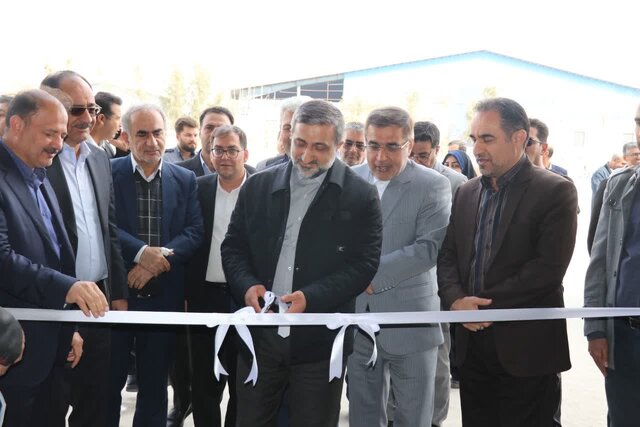 ۱۶ واحد تولیدی و صنعتی به فارس اضافه شد/ اجرای ۹۷ طرح و پروژه طی ایام دهه فجر