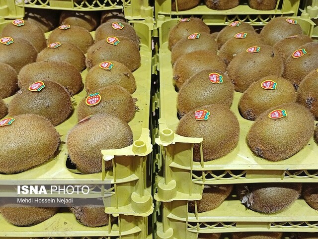 ۱۲ پروژه عمرانی و اقتصادی در آستارا به بهرهبرداری رسید