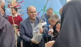 توزیع بیش از هزار اصله نهال میوه رایگان در راهپیمایی ۲۲ بهمن