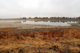 کم آبی "سراب نیلوفر" همچنان ادامه دارد