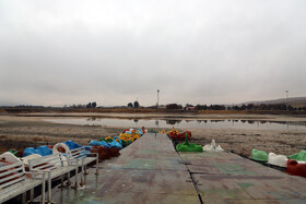  در اسفند ۱۴۰۳ اعلام شد که با هر بار خشک شدن سراب ، گل‌های نیلوفر هم از بین رفته و دیگر نیلوفر زردی در سرآب نیلوفر باقی نمانده است