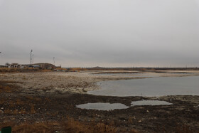 کشت محصولات آب بر در منطقه سراب نیلوفر  و کشت های مکرر باعث از بین رفتن منابع آبی سراب نیلوفر شده است