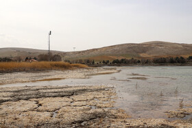 در ۲۹ مرداد ۱۴۰۱ اعلام شد که سرآب نیلوفر به‌طور کامل خشک شده و بستر آن تَرَک برداشته و تنها چند چالۀ کوچک در آن کمی رطوبت دارد 
‌
