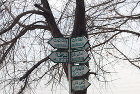 سرآب نیلوفر ۵۵اُمین اثر طبیعی ملی است که توسط سازمان میراث فرهنگی از ۲۷ اسفند ۱۳۸۷ در فهرست میراث طبیعی ایران قرار گرفته‌است.