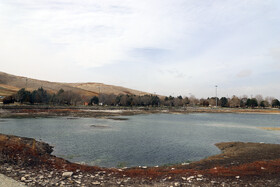 خشکی سراب نیلوفر و از بین رفتن نیلوفرهای آن حتی پس از بارش های اخیر گواه وضعیت نامناسب برداشت بی رویه آب از چاه های منطقه است