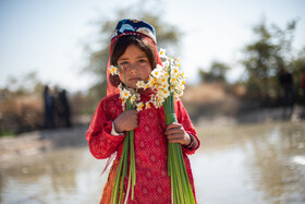 هشتمین جشنواره گل نرگس - کازرون