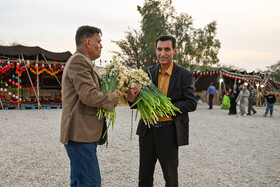 هشتمین جشنواره گل نرگس - کازرون