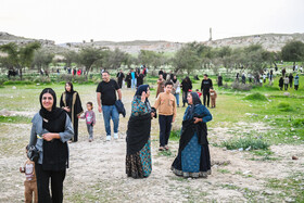 هشتمین جشنواره گل نرگس - کازرون