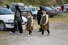 هشتمین جشنواره گل نرگس - کازرون