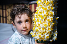 هشتمین جشنواره گل نرگس - کازرون