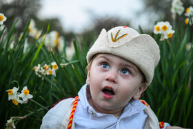 هشتمین جشنواره گل نرگس - کازرون