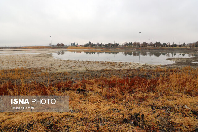کم آبی «سراب نیلوفر» همچنان ادامه دارد