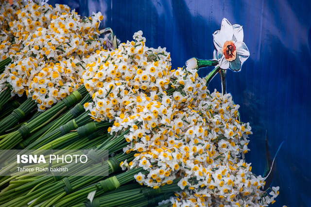 برگزاری دومین جشنواره گل و گل چینی در نطنز