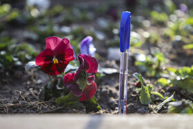 در حاشیه کنکور دکتری در دانشگاه فردوسی مشهد