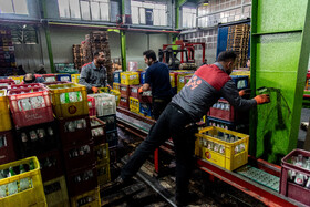 بطری های شیشه ای در واحد جدا سازی از برند های دیگر و  مدل مختلف جدا سازی می شوند