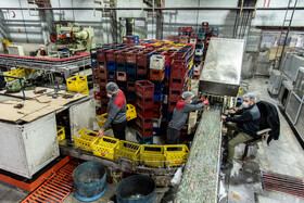 بطری های جدا شده وارد چرخه تولید  می شوند تا با مواد مخصوص شسته شوند