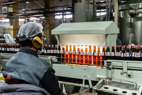 بطری ها پرشده جهت کنترل وضعیت کلی بطری به لاین های مربوطه منتقل می شود