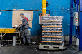 تولیدات بسته بندی شده به واحد انبارداری منتقل میشوند تا در پالت های مربوطه به انبار منتقل شوند