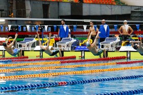 قهرمان لیگ برتر شنا مشخص شد/ ۶ رکورد جدید در شنای ایران