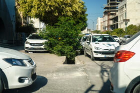 نبود پارکینگ در شهر بوشهر