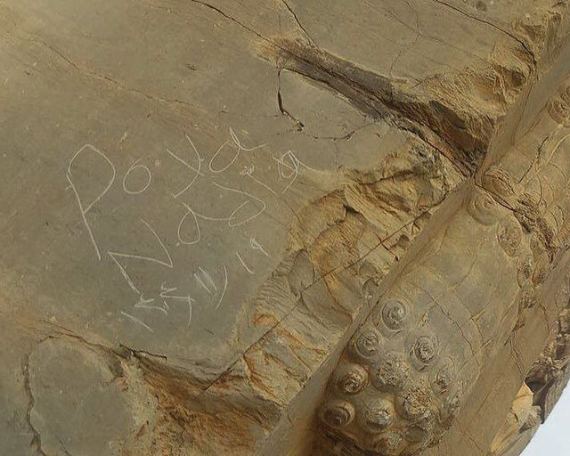 یادگارنویسی تازه در تخت جمشید؛ وندالها چگونه به دروازه ملل رسیدند؟