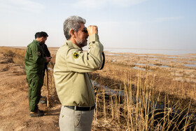 سرشماری پرندگان مهاجر در تالاب مره قم