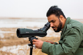 سرشماری پرندگان مهاجر در تالاب مره قم