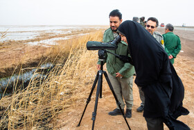 رصد پرندگان مهاجر توسط سیده مریم محمدی مدیرکل حفاظت محیط زیست استان قم در سرشماری پرندگان مهاجر در تالاب مره قم