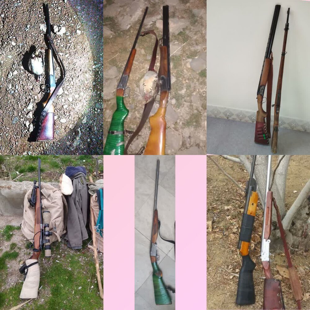 کشف ۱۳ قبضه اسلحه از متخلفان زیست محیطی در لرستان