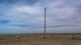 طی چهار سال اخیر به دلیل لایروبی غیر اصولی کانلهای ورودی آب به خلیج گرگان، پسروی آب با سرعت بیشتری صورت گرفته است.