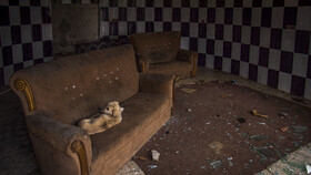 بسیاری از بناهای متروکه تجاری نزديک سواحل مکان امنی برای افراد بزهکار و یا سگهای بی سرپرست شده است.