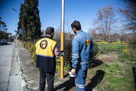 مانور سراسری شناسایی و قطع برق های غیر مجاز-ساری