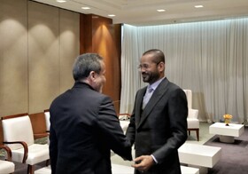 جدیت ایران در استفاده از دیپلماسی نتیجه‌محور برای تامین حقوق ملت ایران