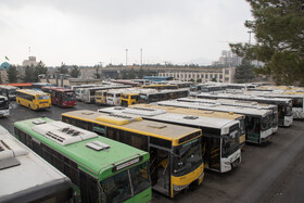 اختصاص اتوبوس‌های ویژه بانوان برای ماه رمضان و ایام پایانی سال/ اعلام خطوط اتوبوسرانی