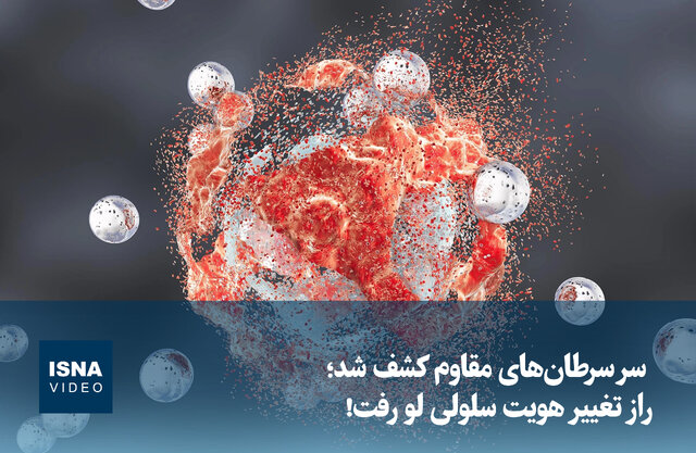 ویدیو/ راز سرطان‌های مقاوم کشف شد