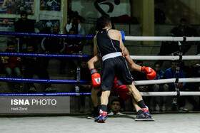 دعوت دو بوکسور کردستانی به اردوی تیم ملی نونهالان