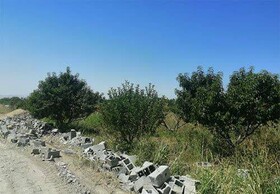 اجرای بیش از ۸۲۷ حکم قلع‌ و قمع در اراضی کشاورزی شهرستان ارومیه
