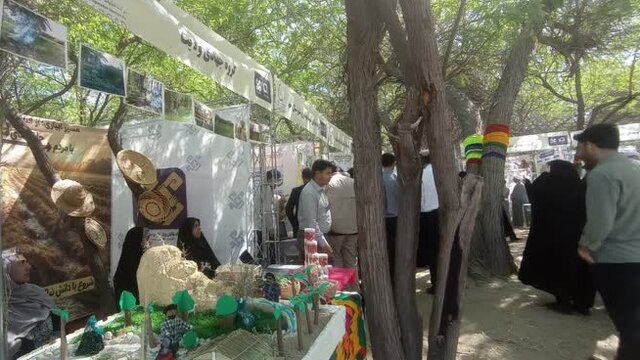 رقابت ۶۰۰ فعال اجتماعی در «مردمی‌شو ۳» عسلویه