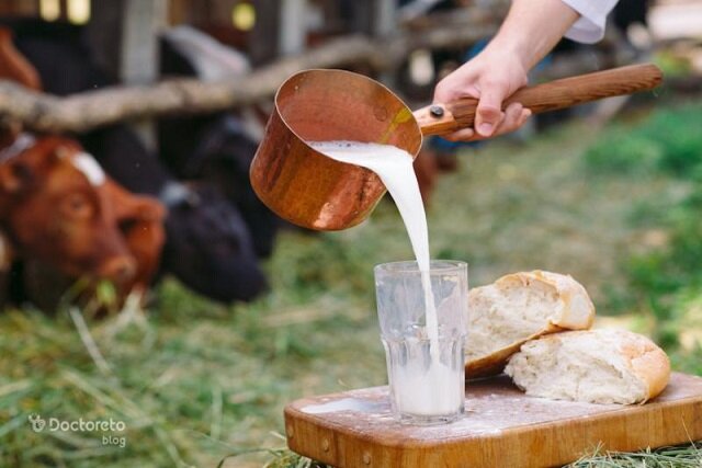 افزایش خطر تب مالت در فصل زایش دام‌ها / مراقب شیر فله باشید